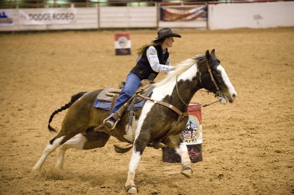 barrle-racing-horse-cowgirl-rider