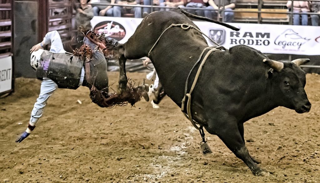 bull-riding-professional-cowboy